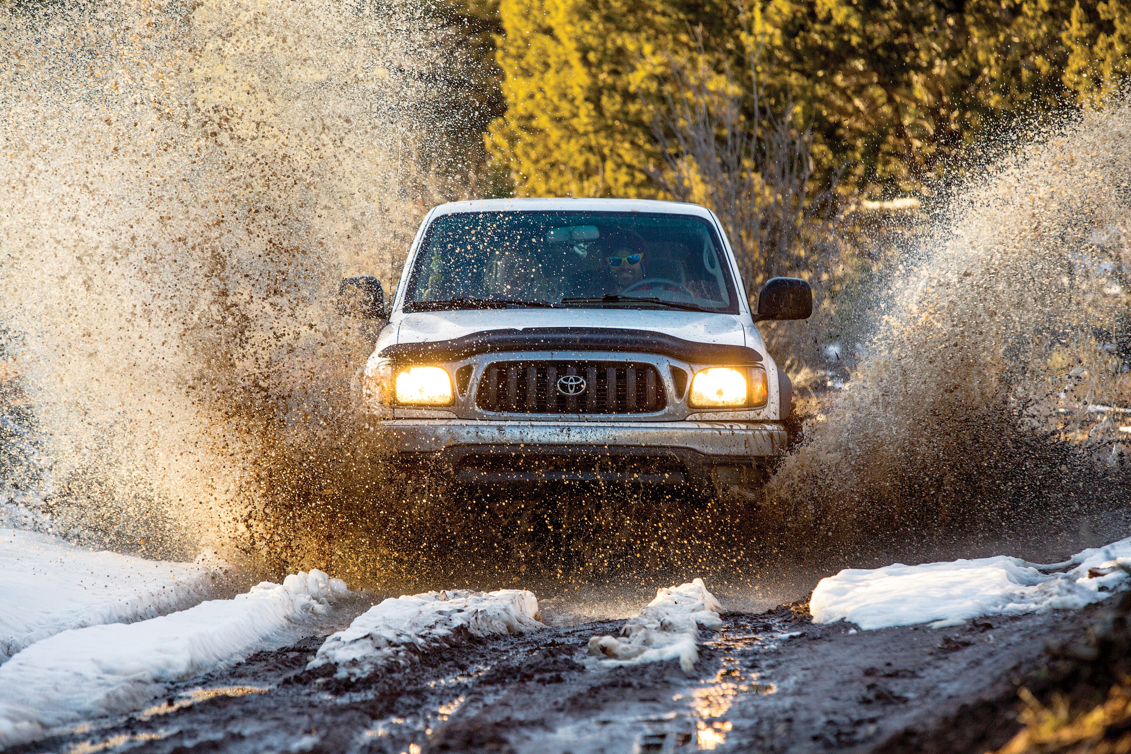 burr021014_729_gn.jpg None