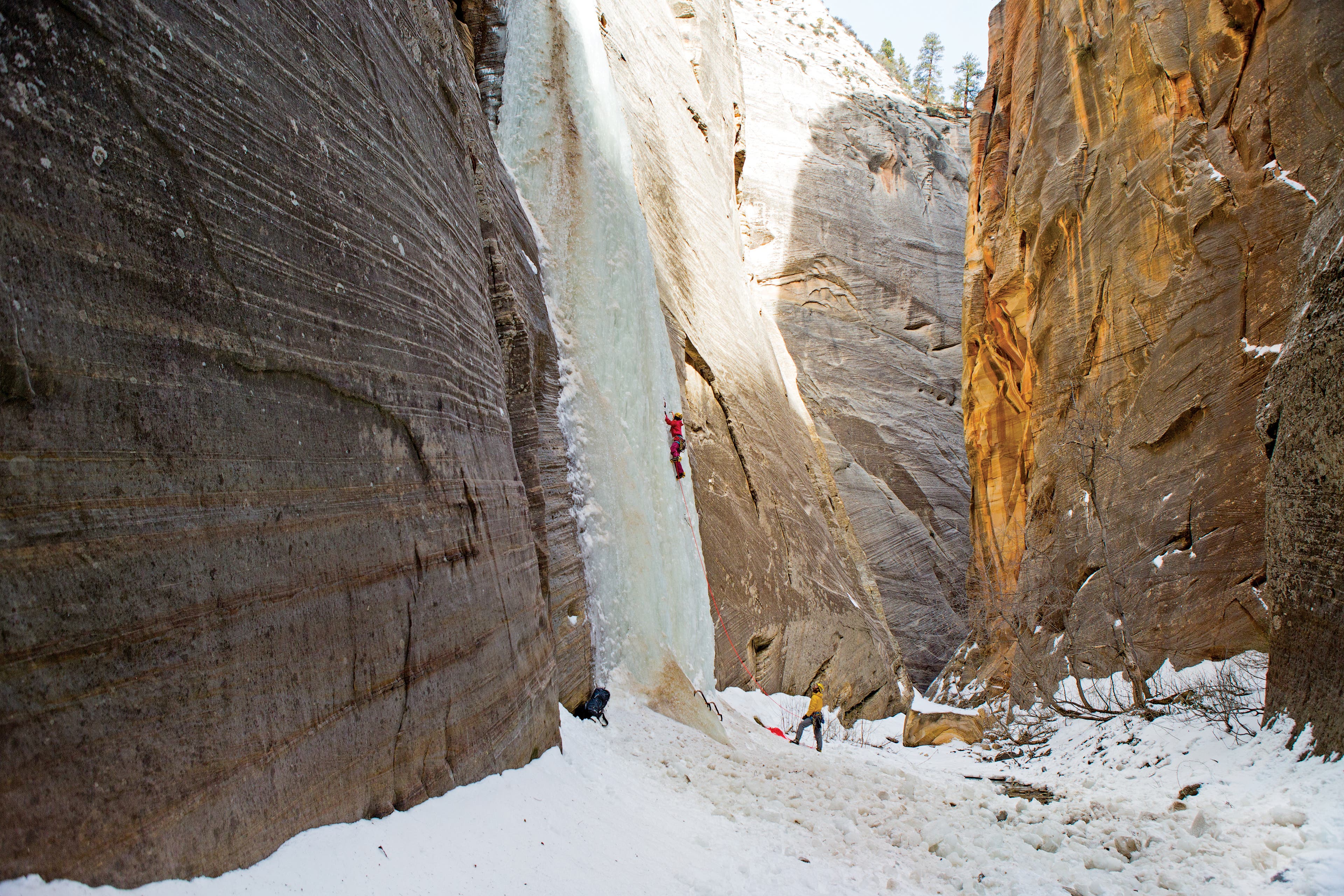 burr021114_082_gn.jpg None