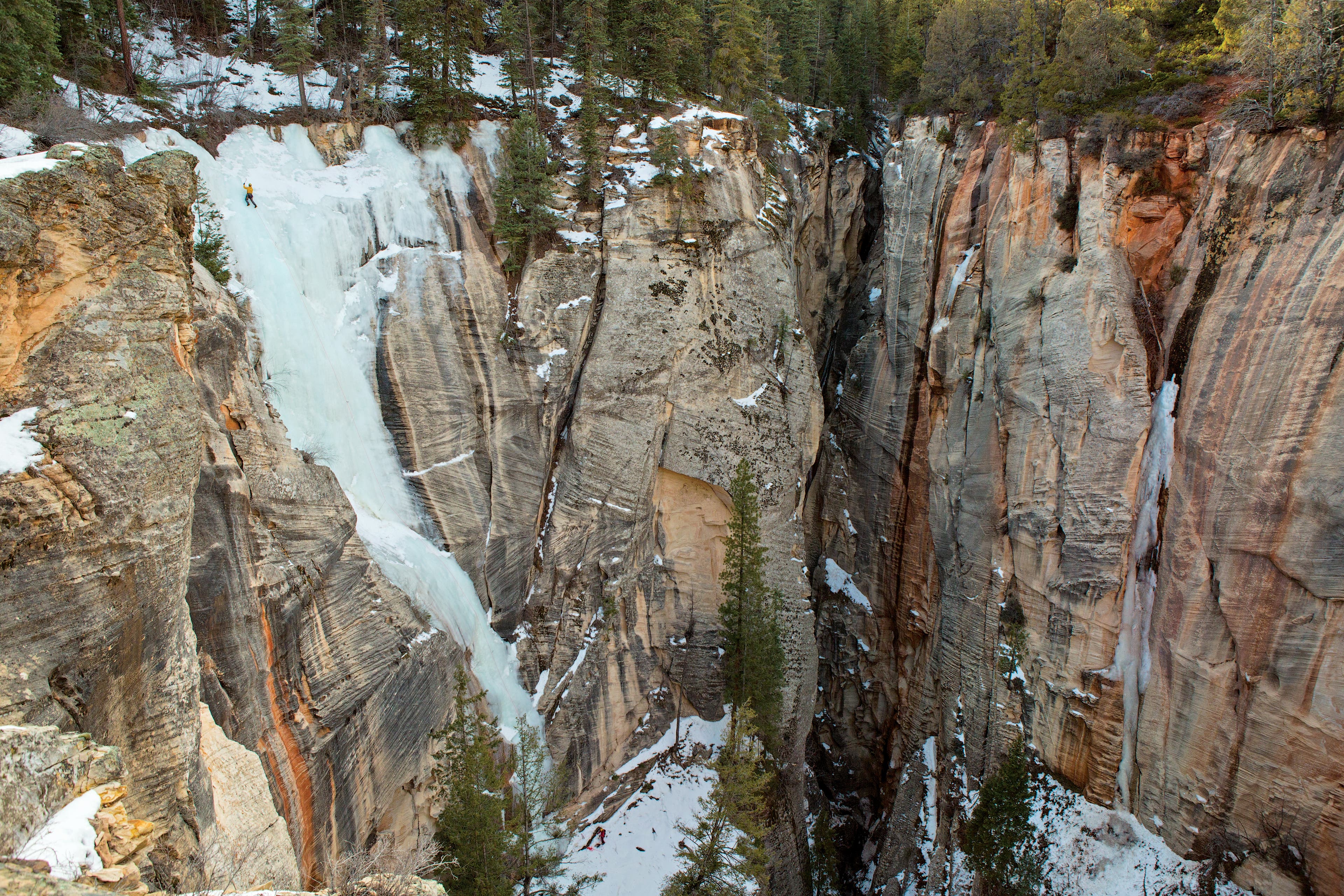 burr021114_371_gn.jpg None