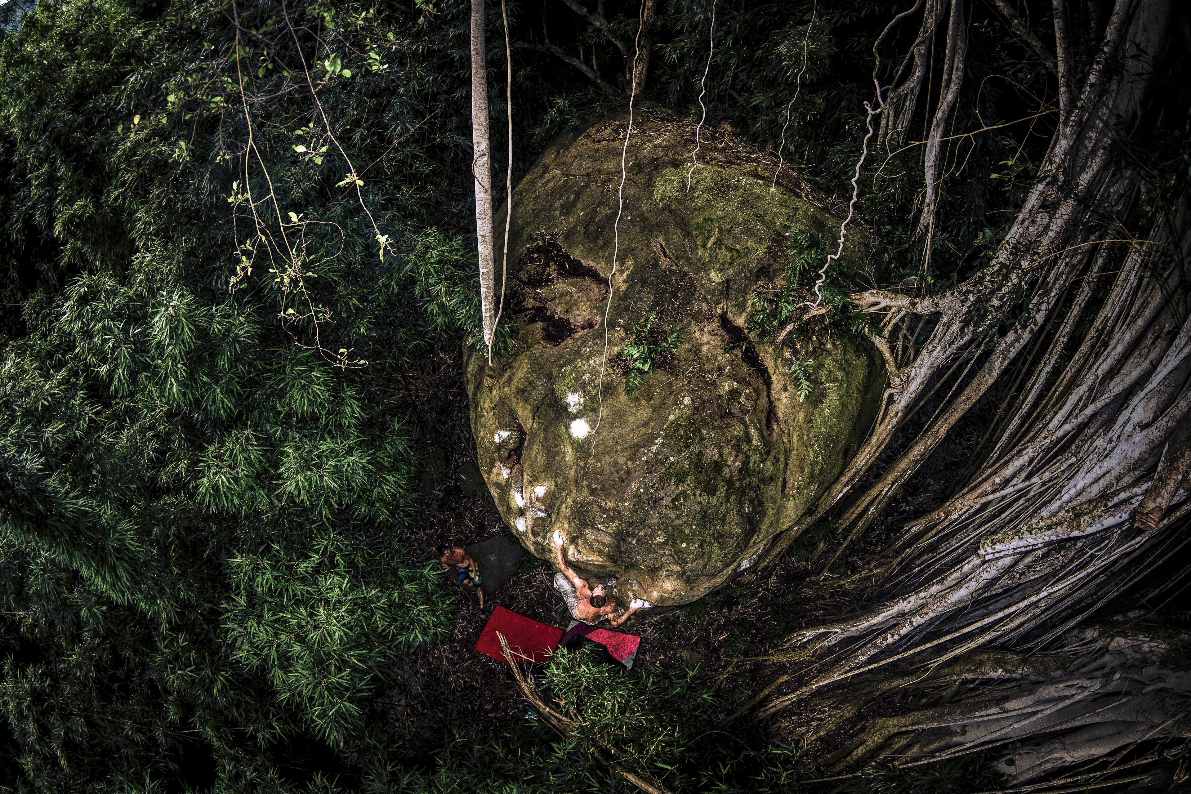 Justin_Olomana_Edit#4 (3 of 1)-web.jpg None