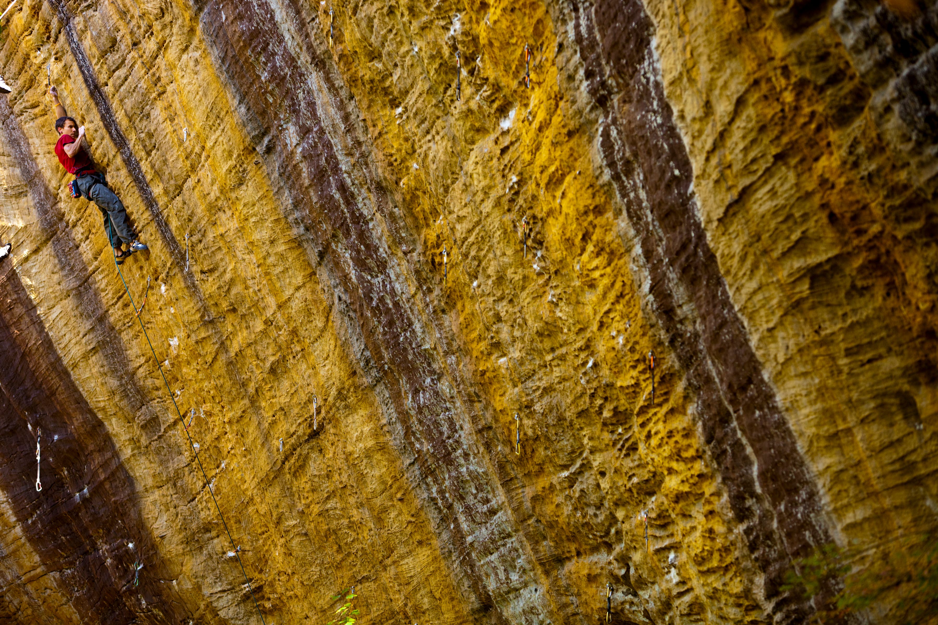 burr102009-017.jpg None