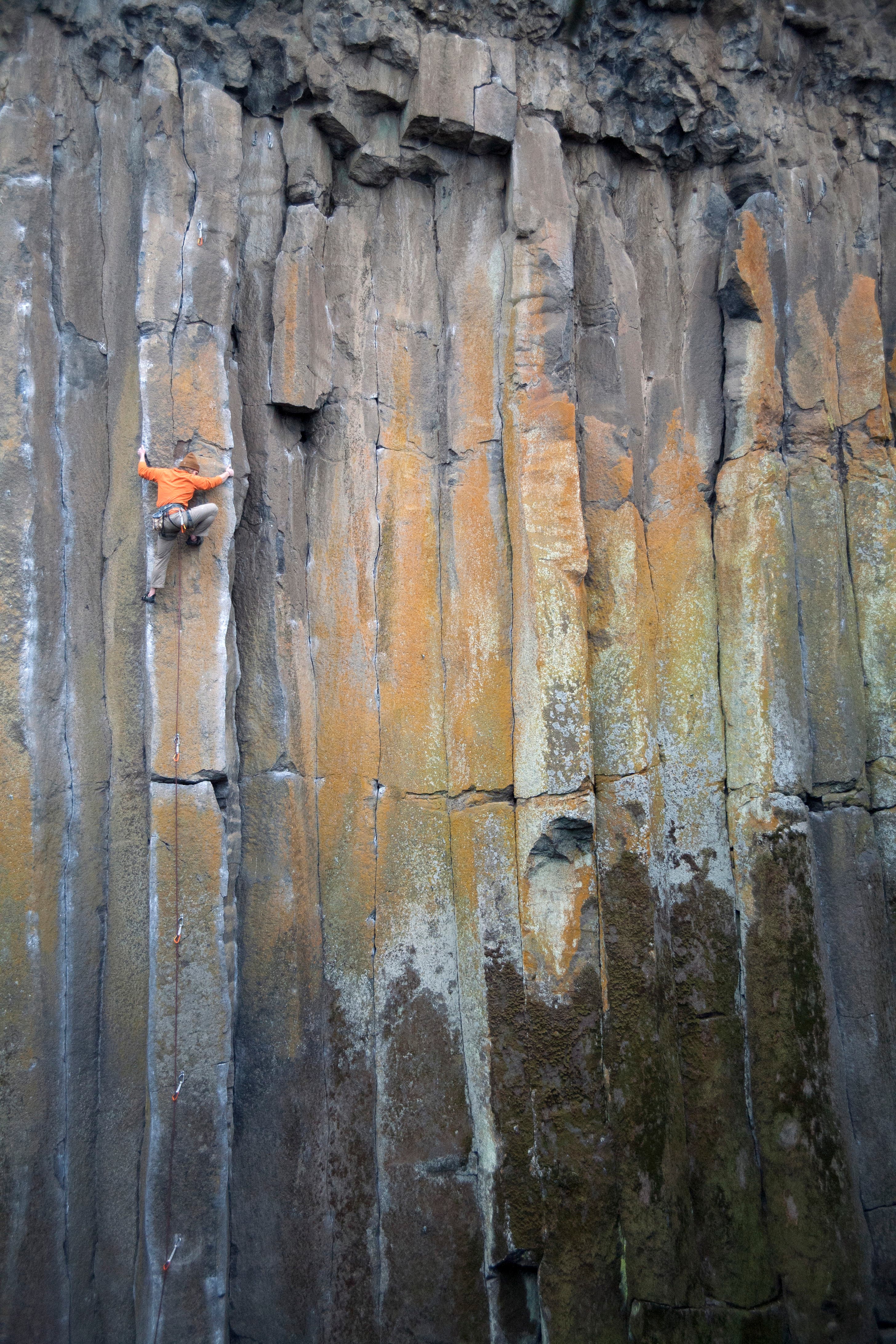 Unknown.jpeg.jpg None