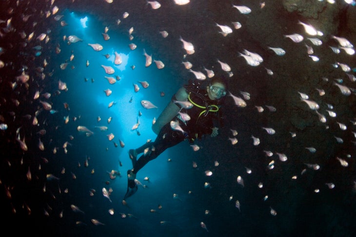 737102120_gn.jpg None