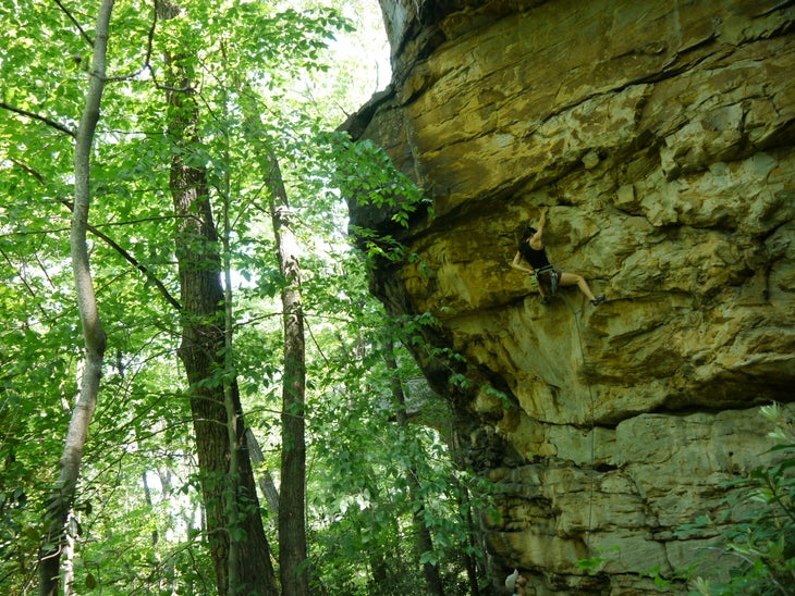 Virginia's Breaks Interstate Park Opens Climbing Access - Climbing