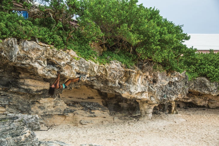 burr072715_185_gn.jpg None