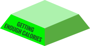 snpt1-300x156.png None