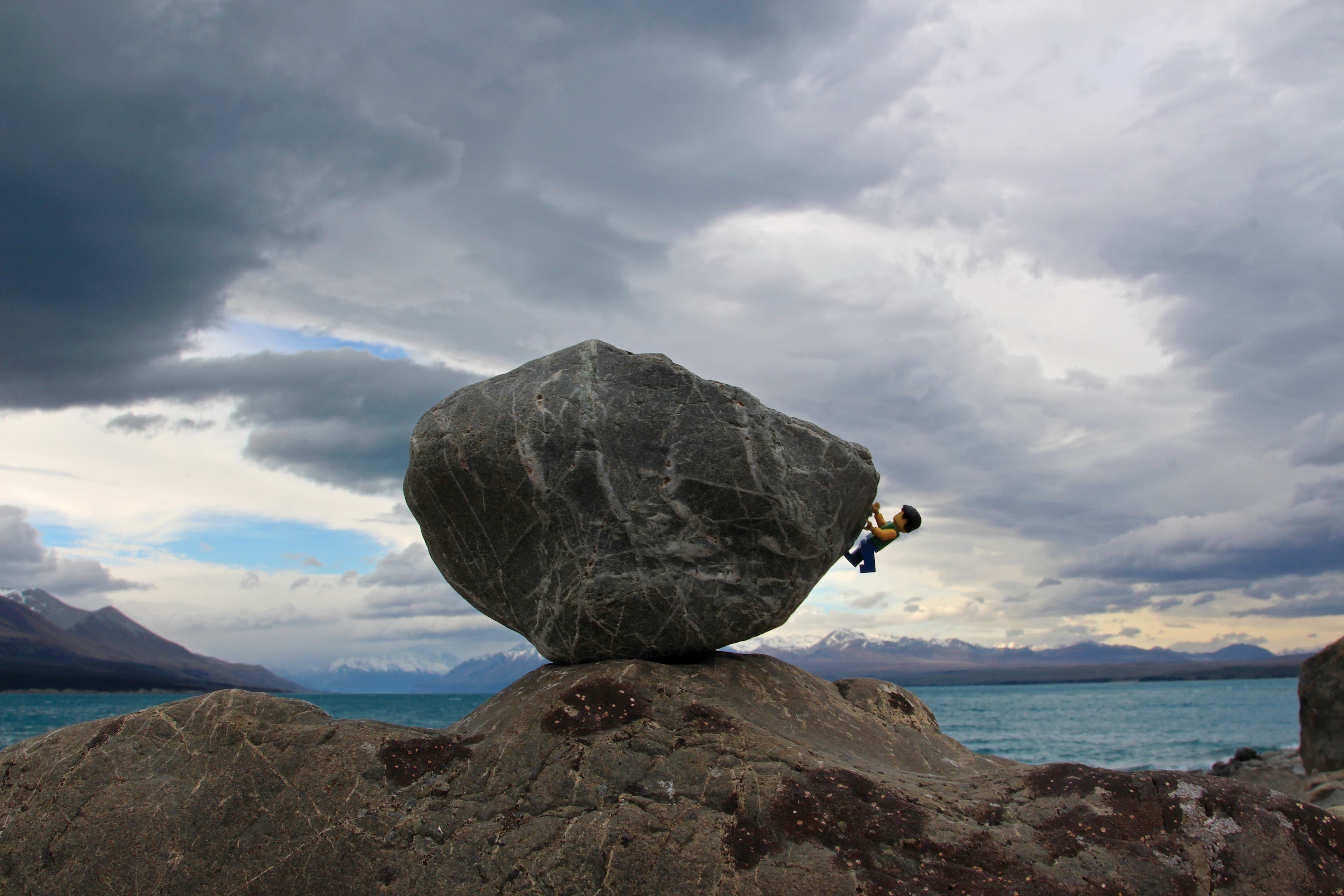 IMG_8424_gn.jpg None