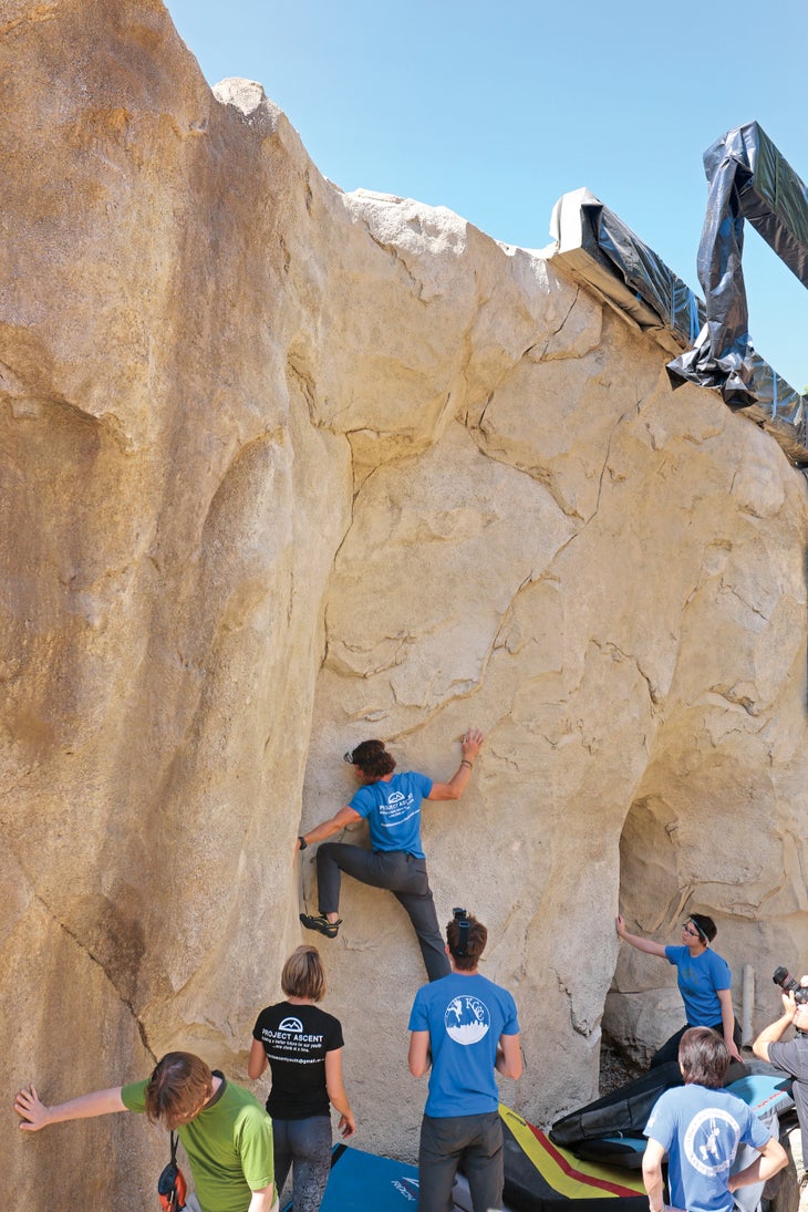 Orangutan Rock Climbers (21 of 227)_gn.jpg None