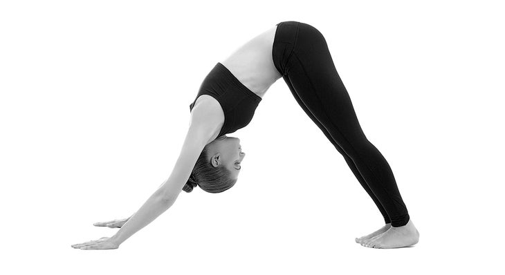 DownDog.jpg Downward Facing Dog Yoga for Rock Climbers