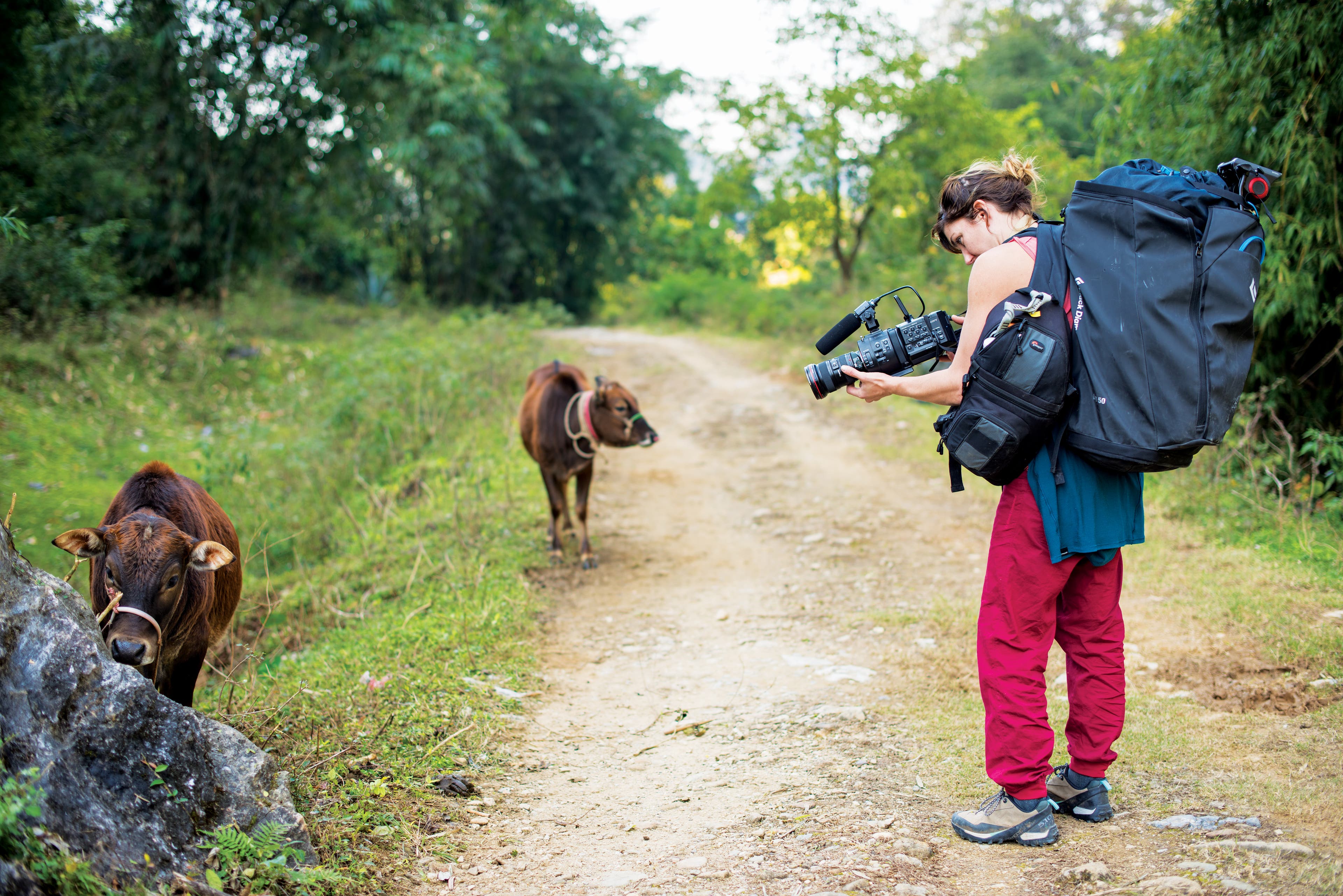 _DSC0658-editCMYK_gn.jpg None