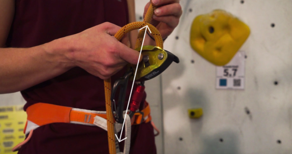 AAC Universal Belay Standard Lead Belaying