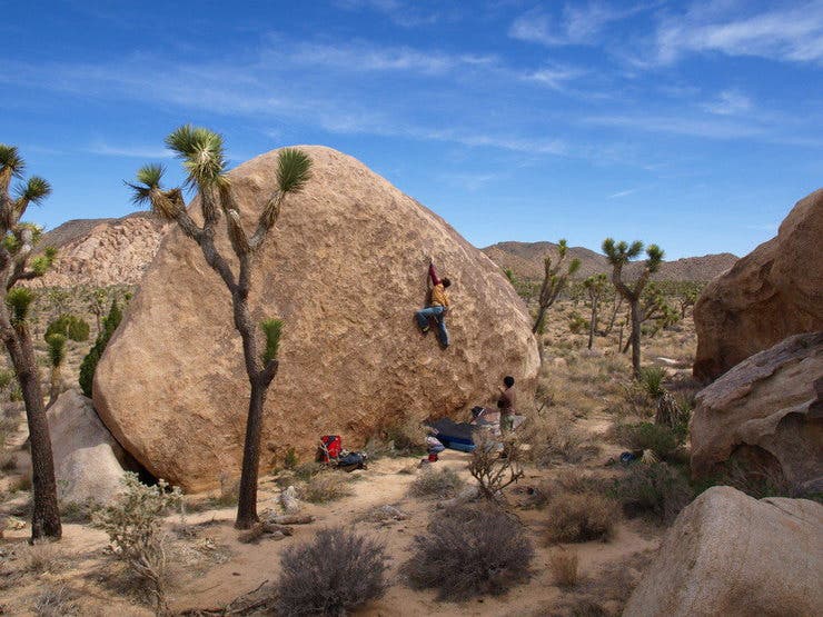 "trad destinations Joshua Tree"