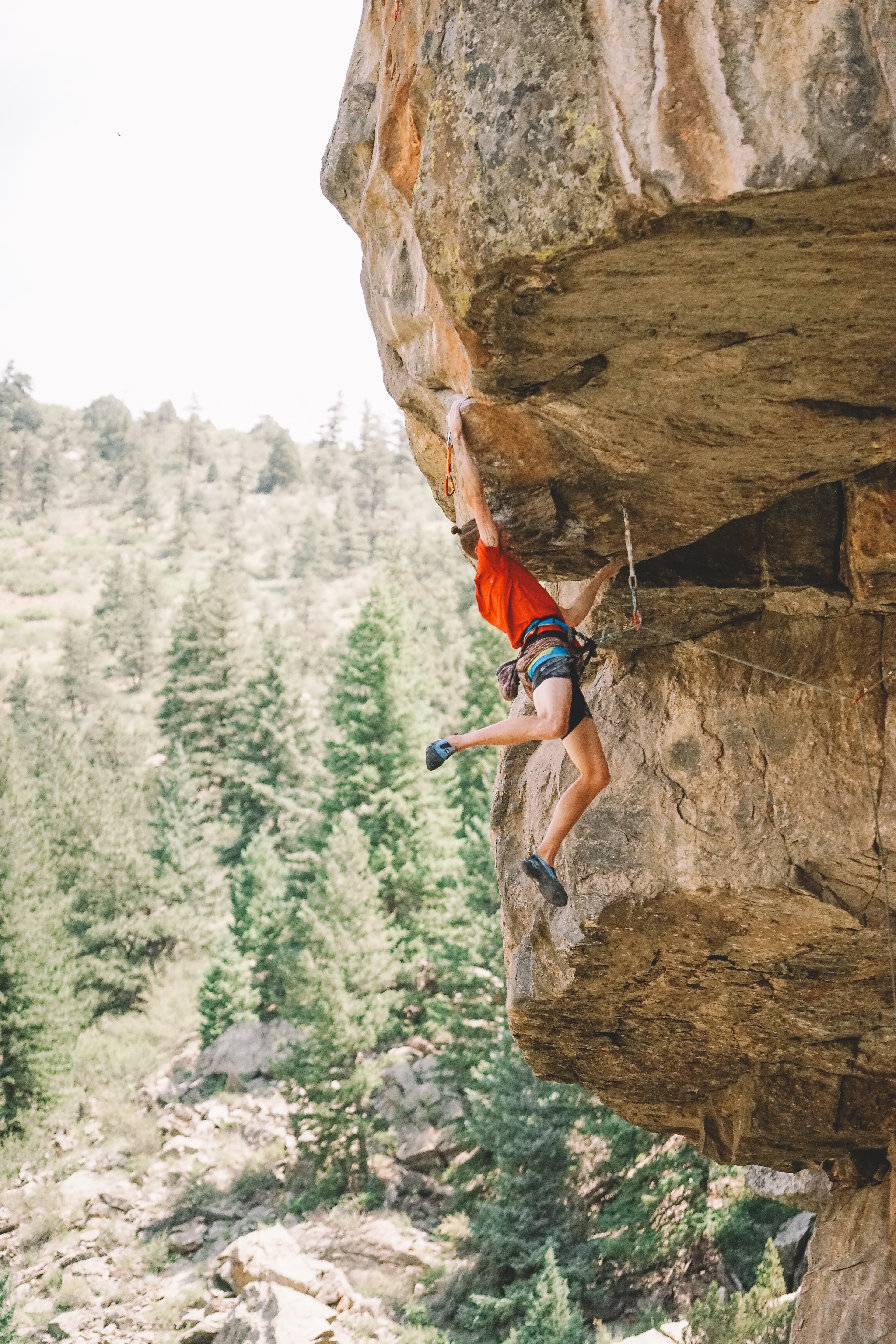 Matt Lloyd (1 of 1).jpg None