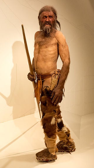 Oetzi_the_Iceman_Rekonstruktion_1.jpg None