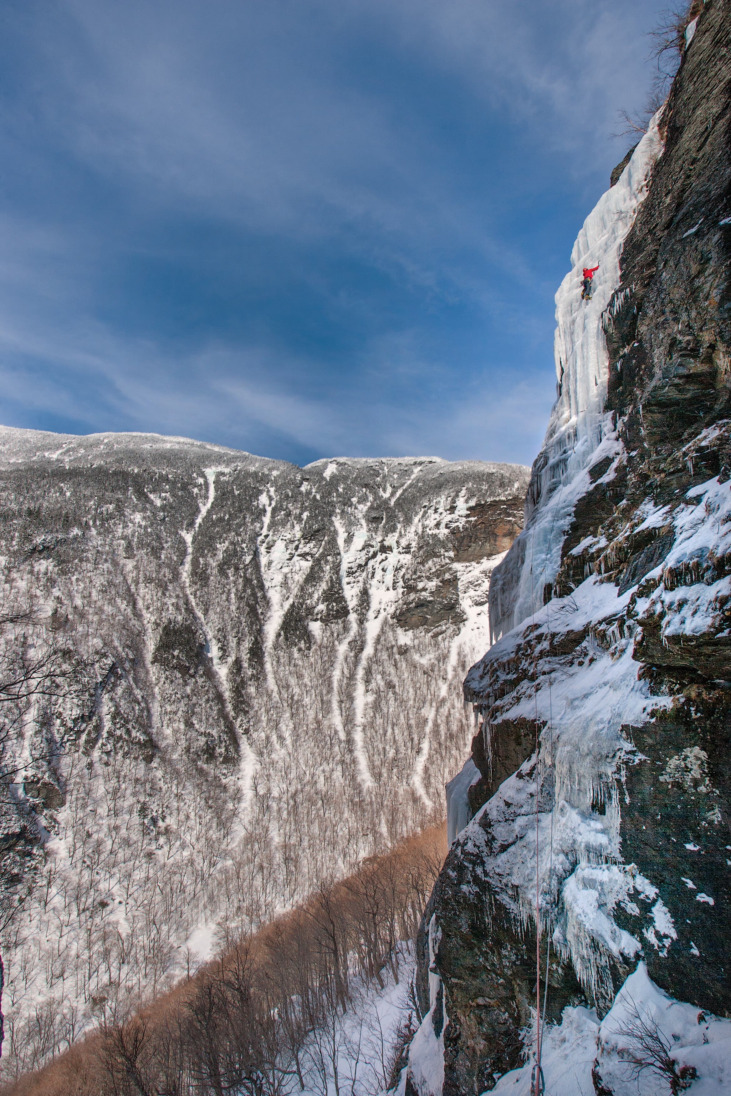 Smuggs_SethM_TallTales_pellett_gn-web.jpg None