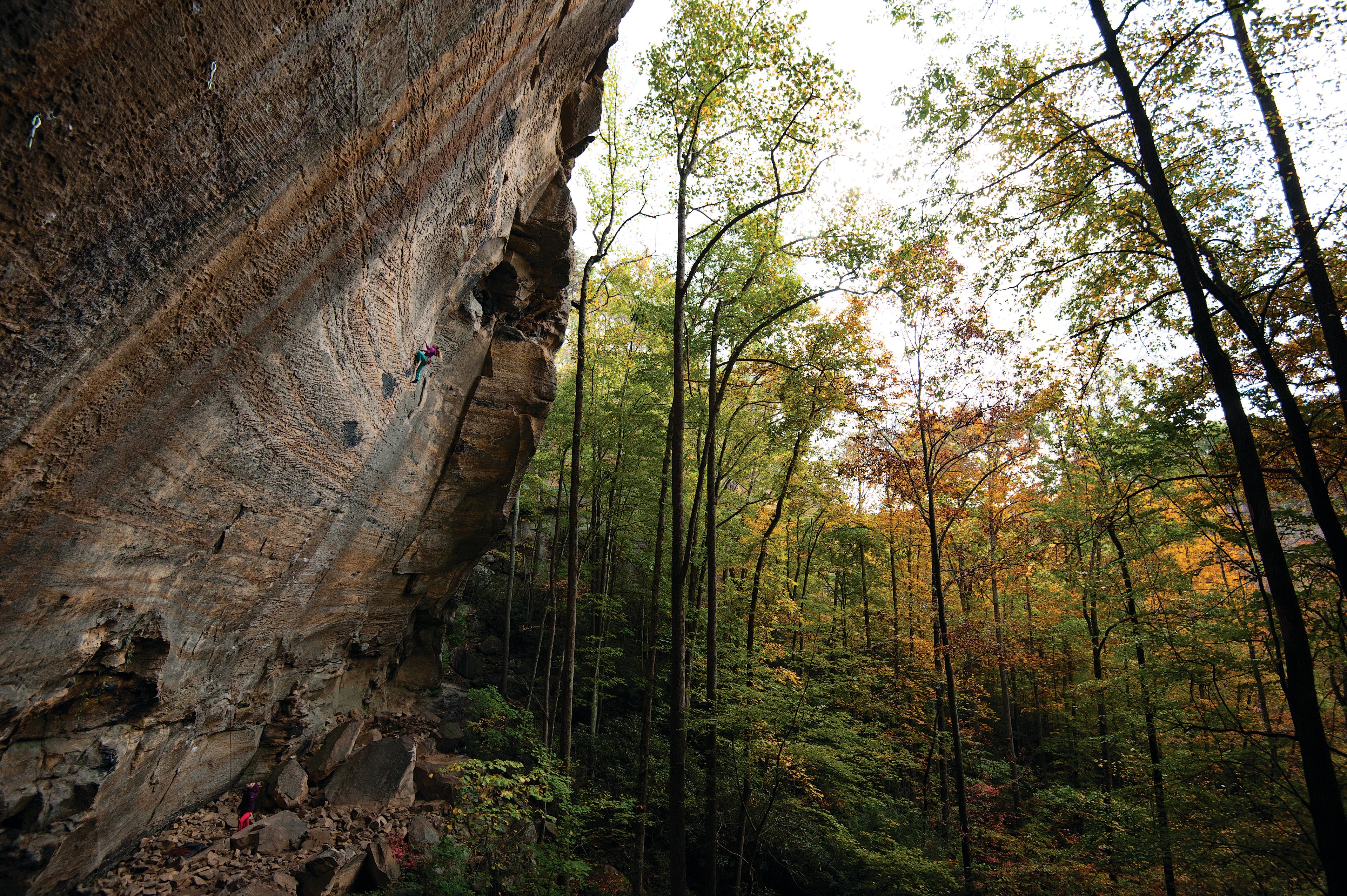 MichaelaKiersch_GoldenTicket-7405_gn-web None