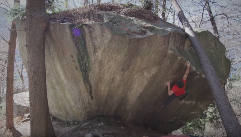 Video—The Classics Fred Nicole and Dreamtime