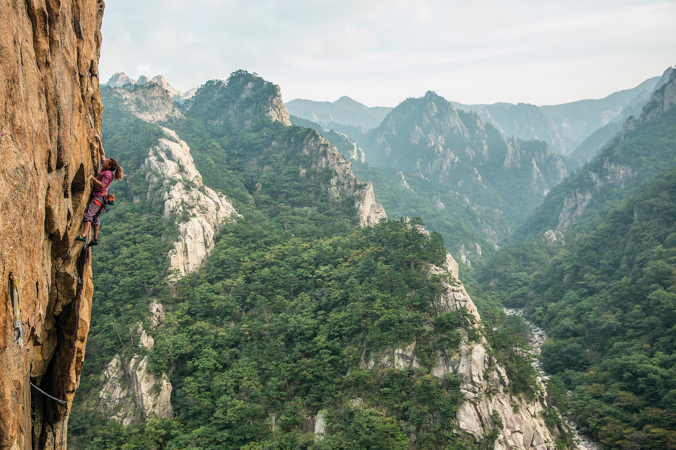 burr092015_860_bjk None