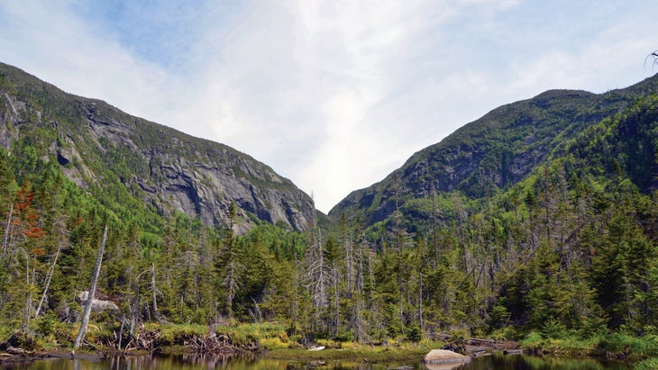 KM~panther gorge view north_gn None