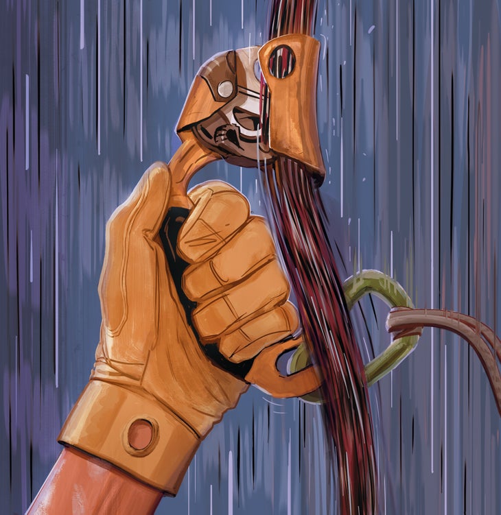 Ascender1 Mideast Crisis Washington Column Ascension-device Failure Climbing accident Yosemite