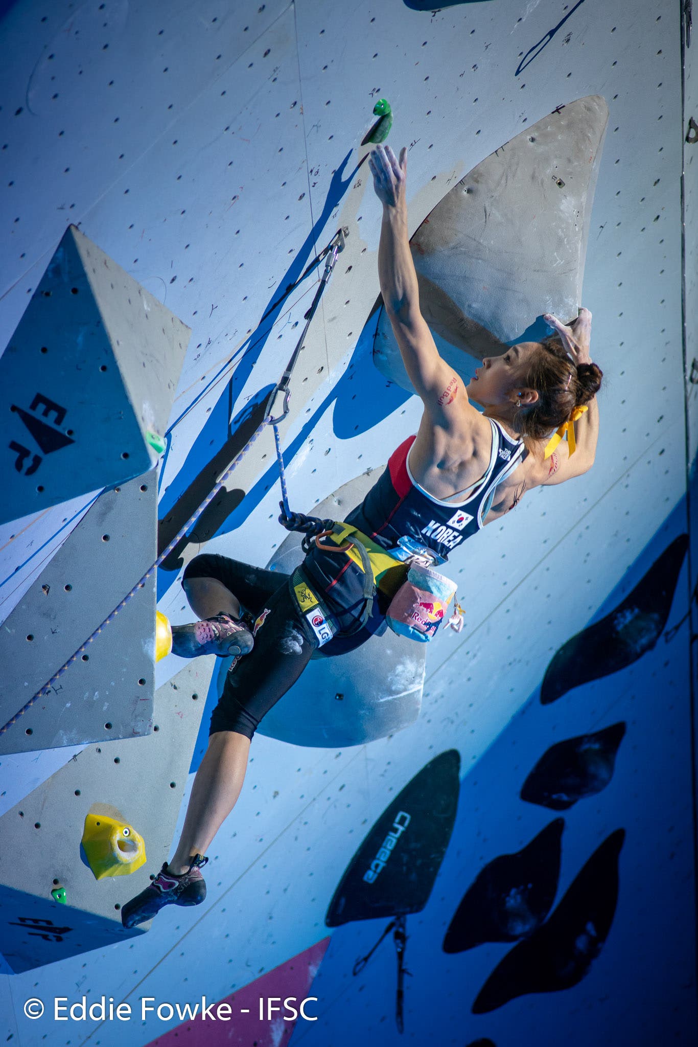 41455276650_49cbd47044_o None