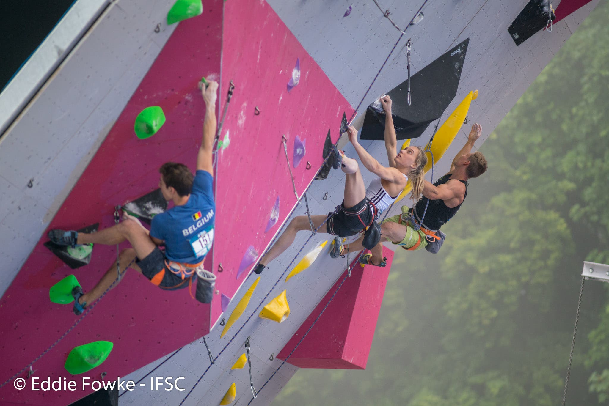 41484292620_eef962b9ab_o None