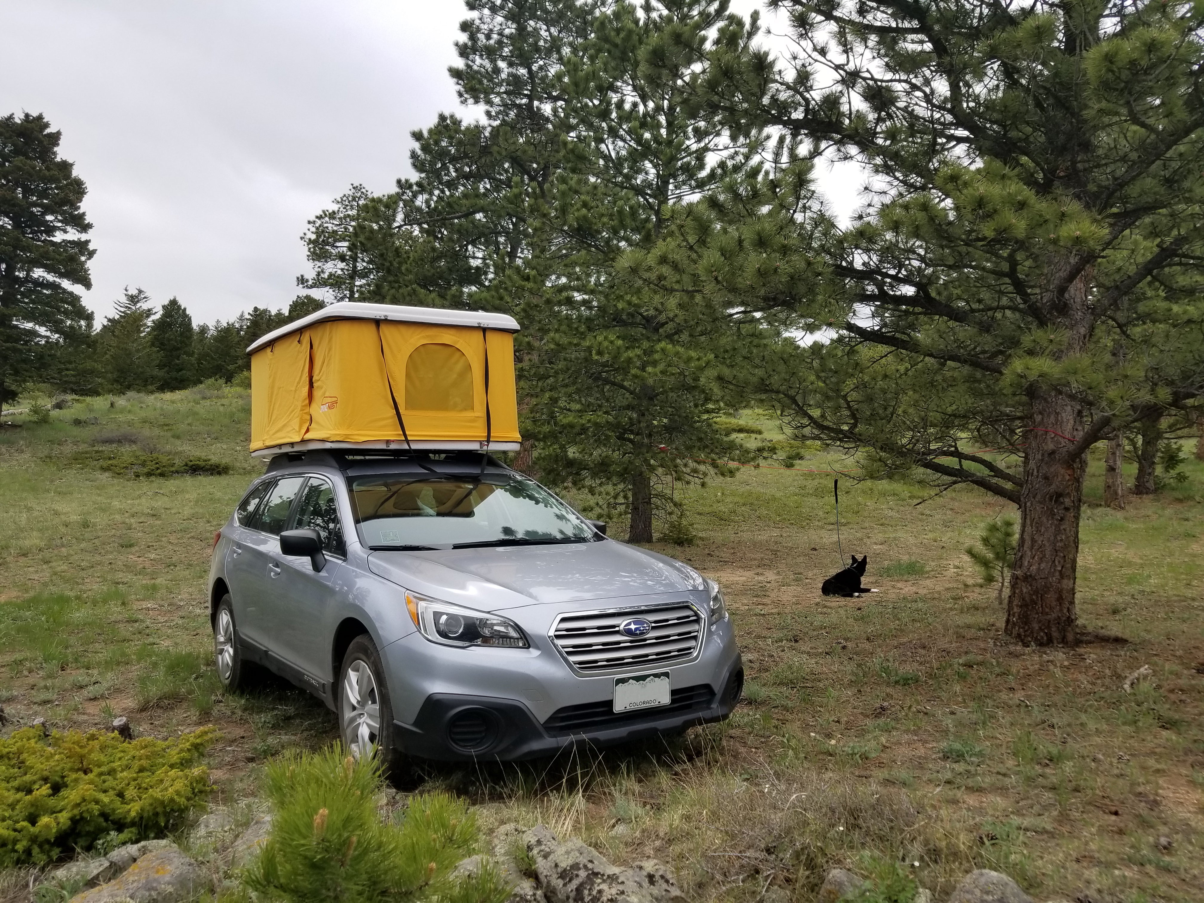 Review Roofnest Sparrow Roof Tent