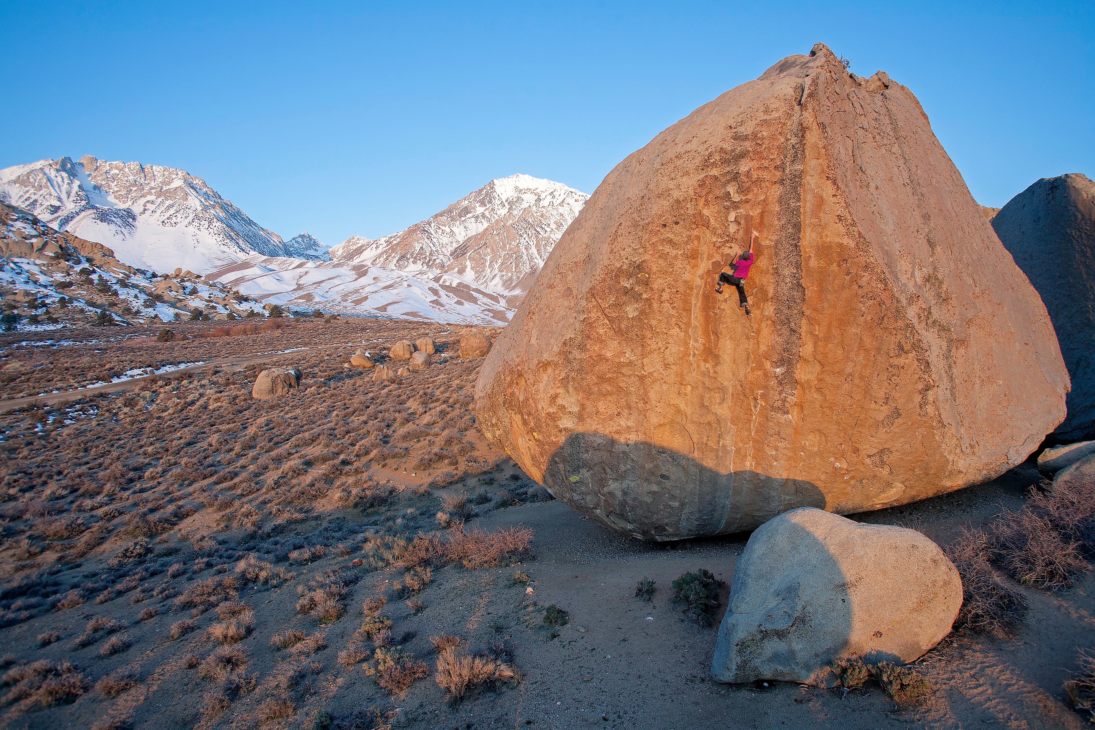 ambrosia-Edit-Edit-web None