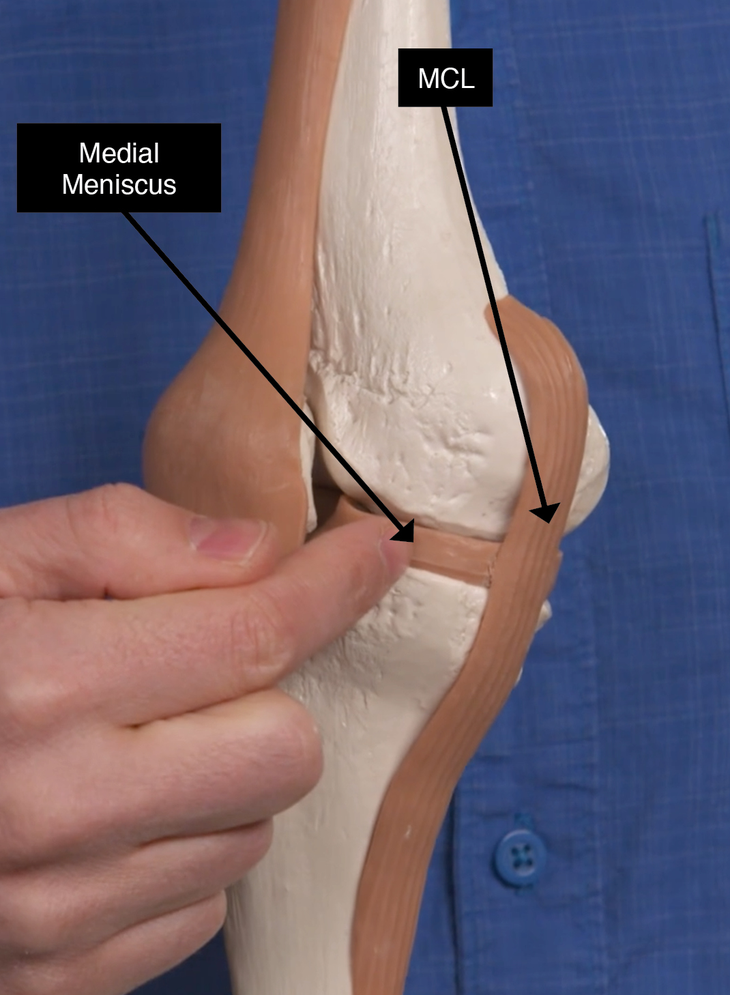 Knee Close Up None