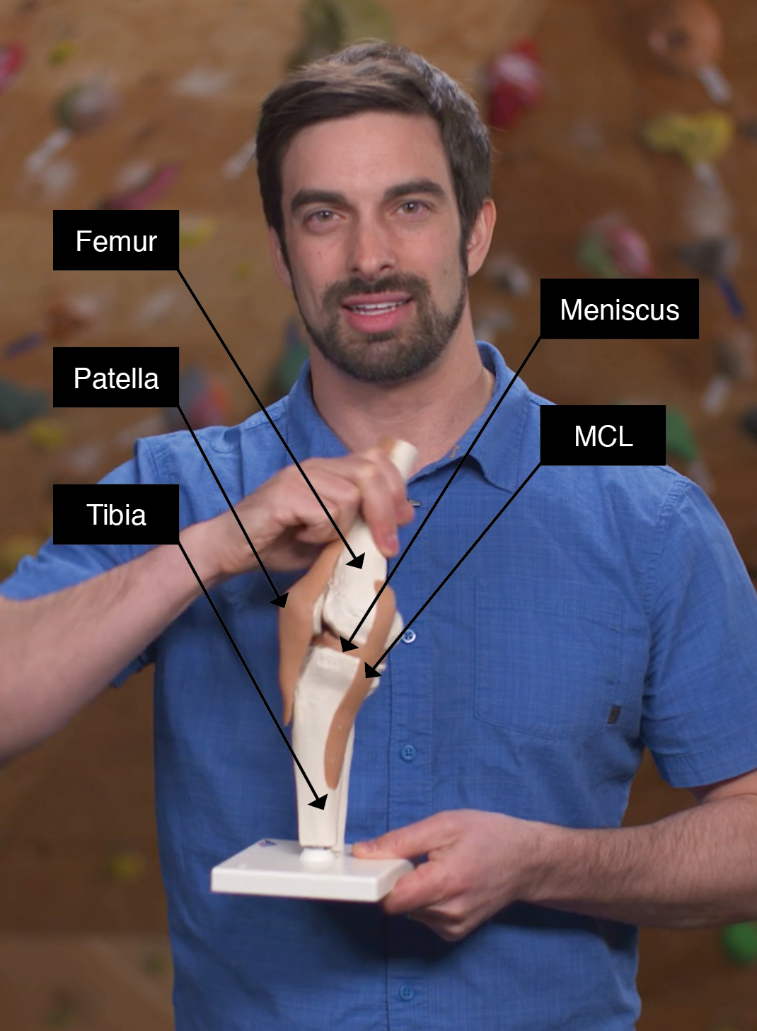 Knee Distant View None