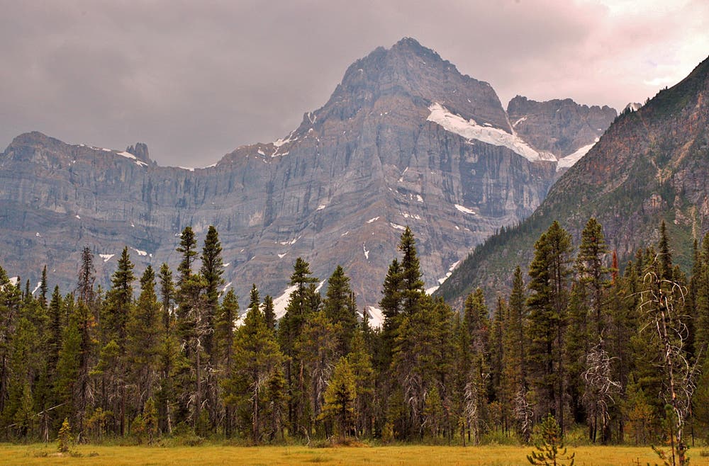 14746144409_4c8742f44c_o None