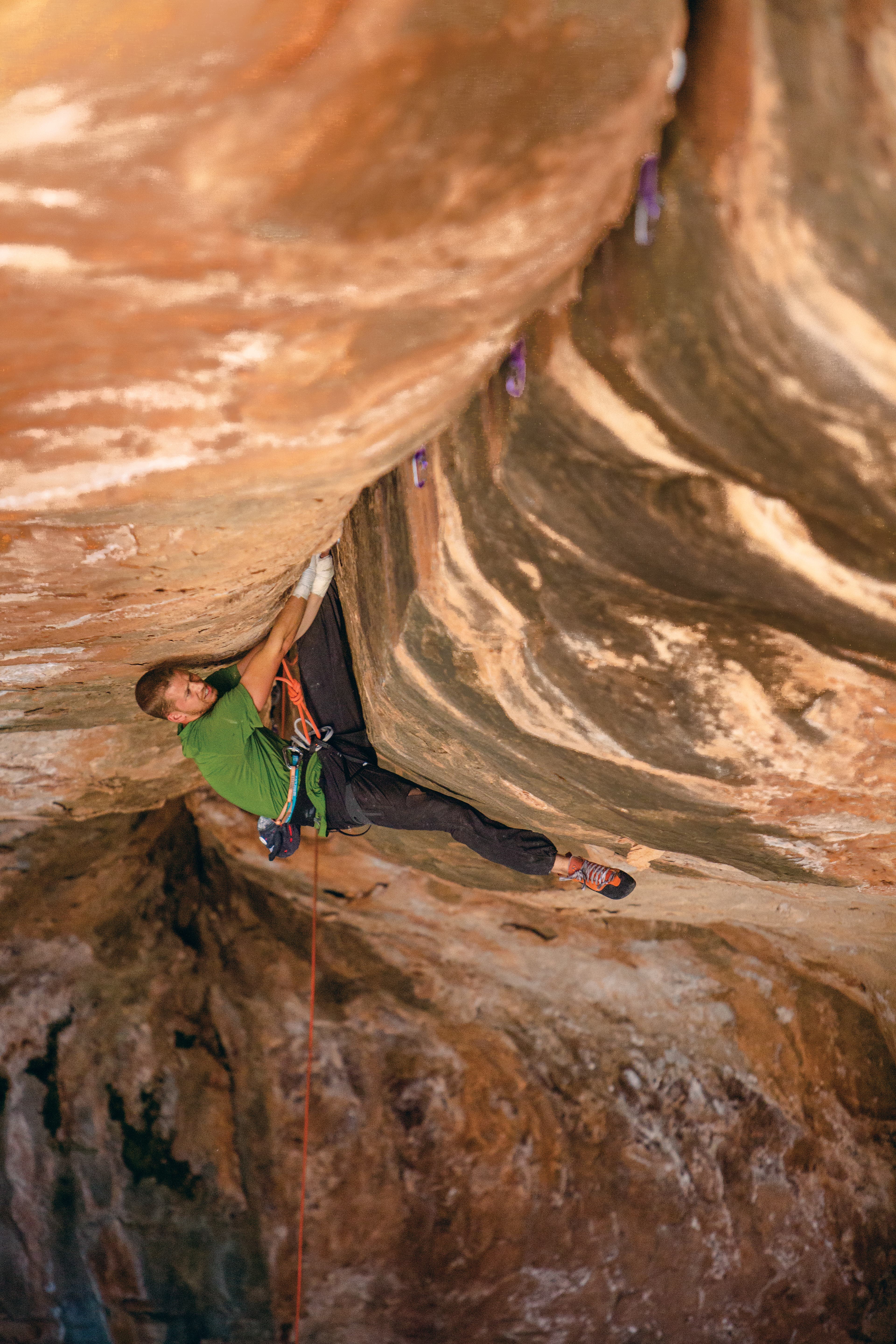 3W9A4253_gn-web None