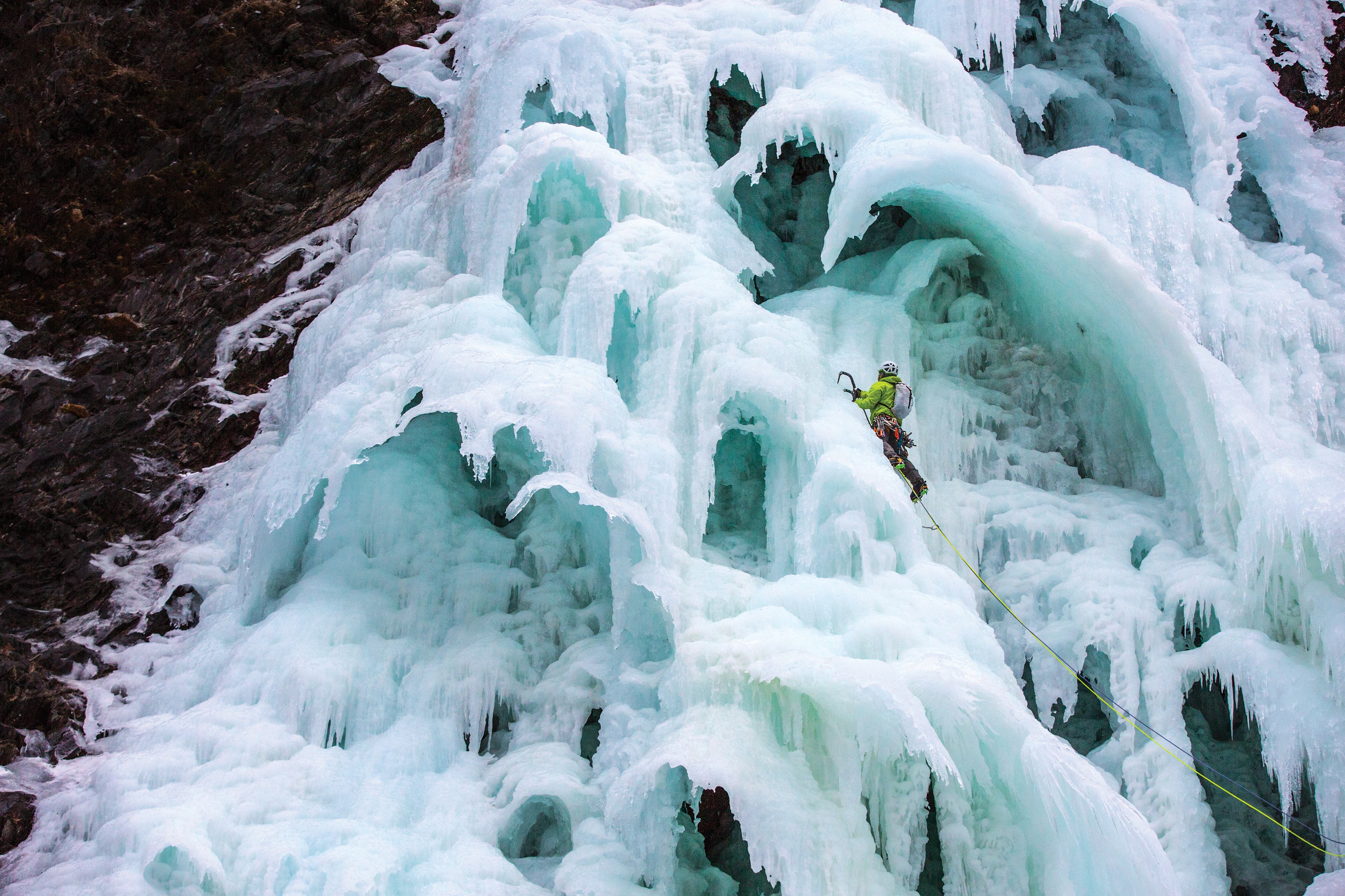 burr011215_042_gn-web None