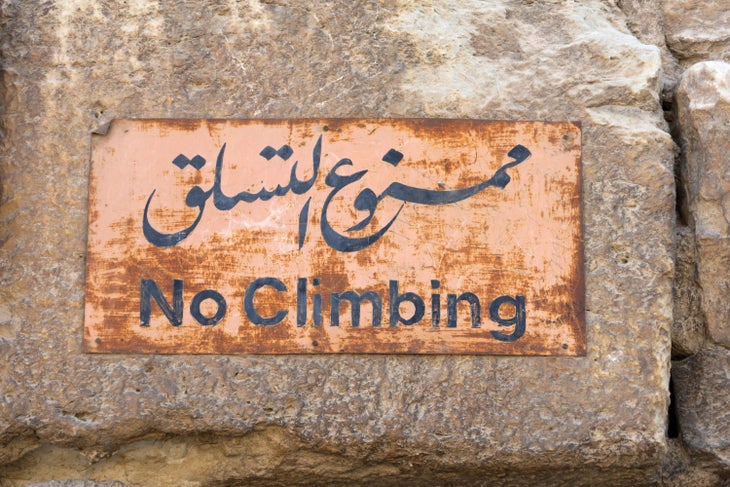 _DSC0006_gn-web None