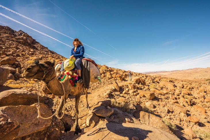 _DSC3202_gn-web None