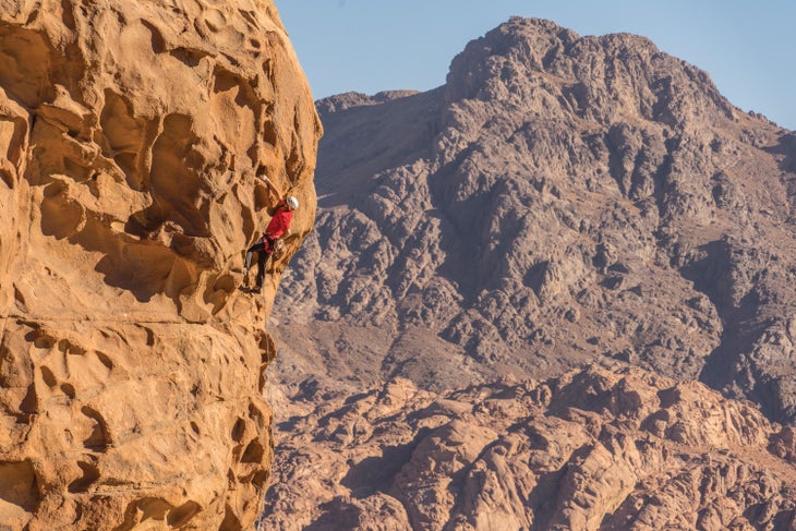 _DSC5343_gn-web None