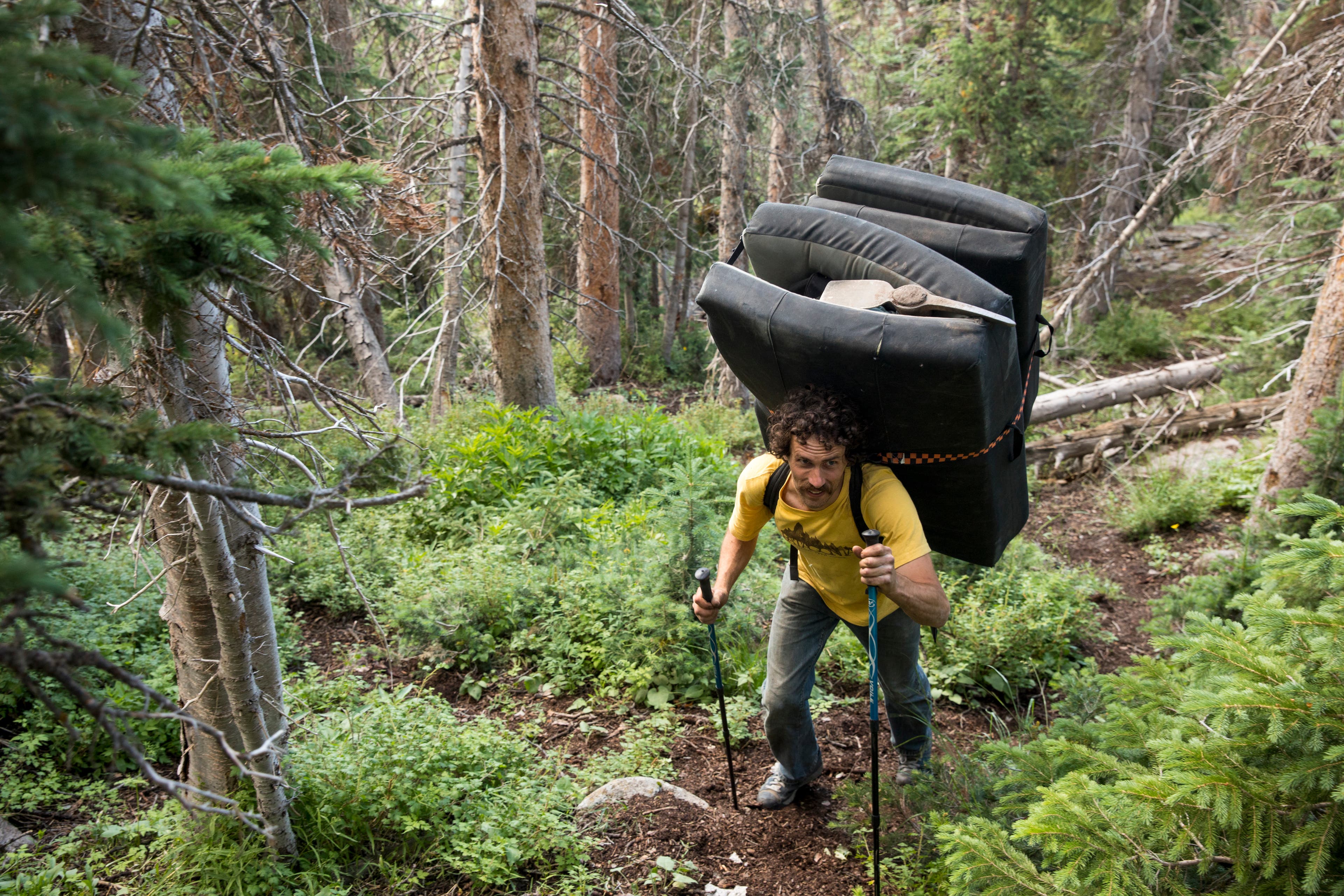 burr071518_1921-web None