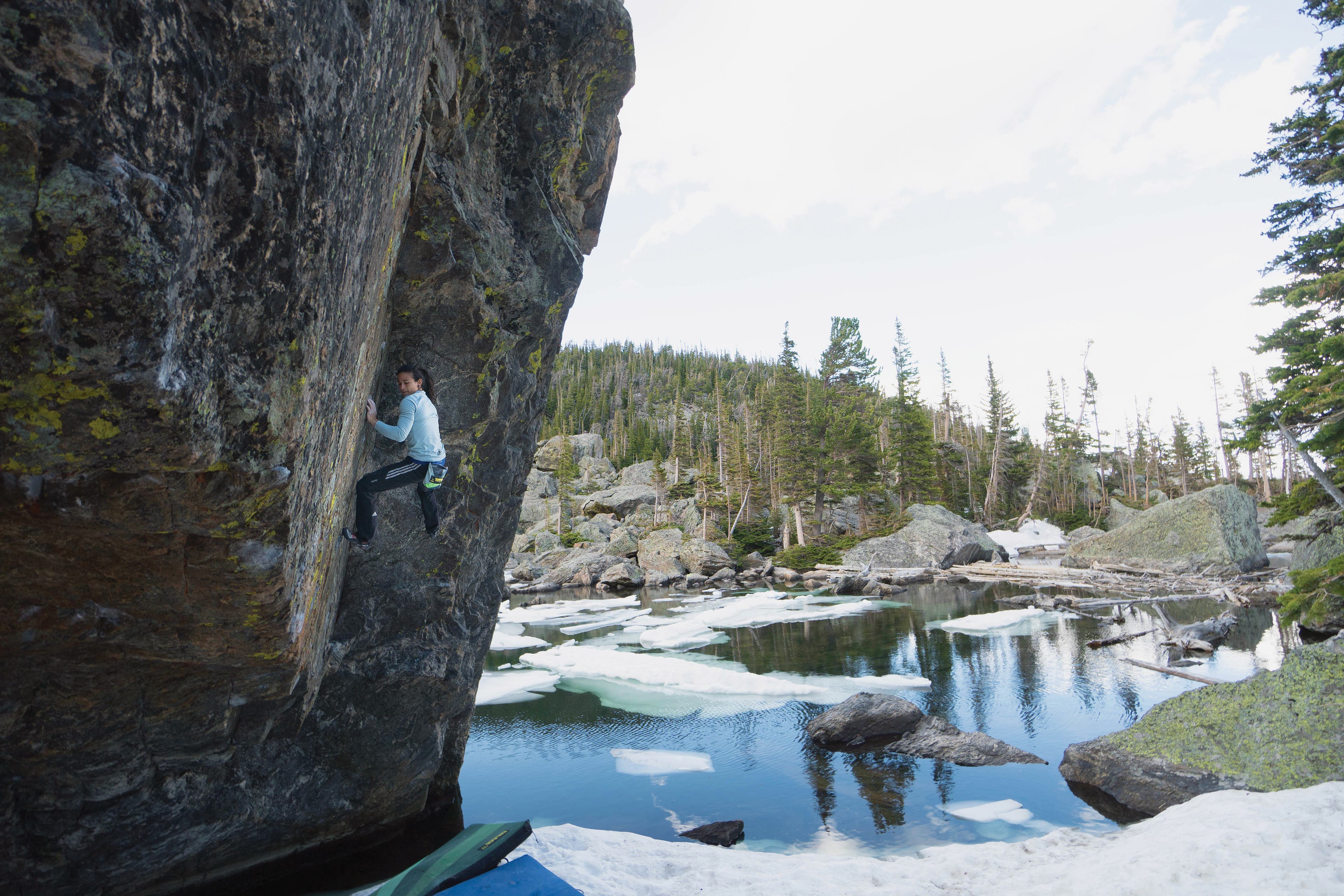 nina cookie's corner2 (1 of 1) None