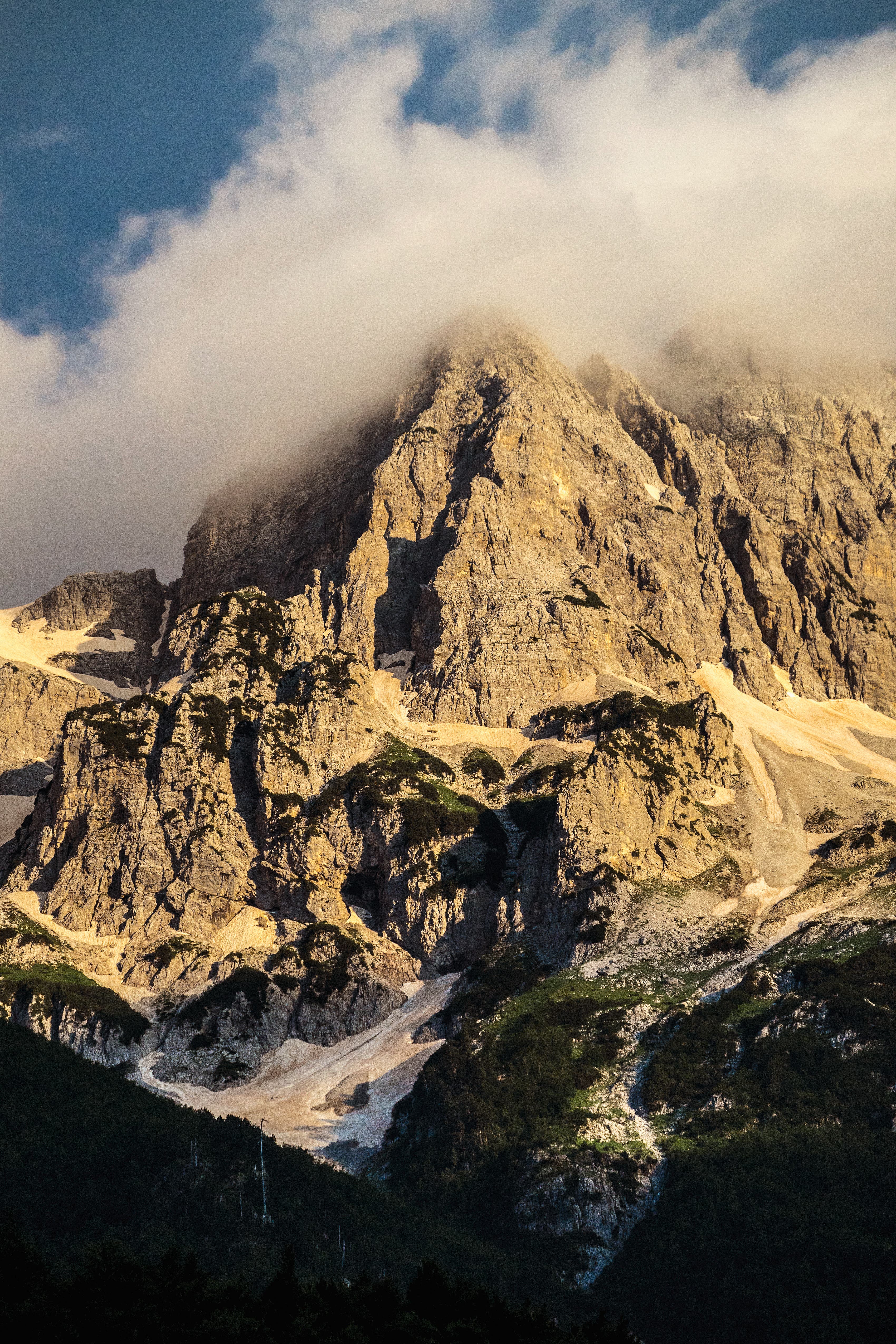 _DSC4874_bjk-web None