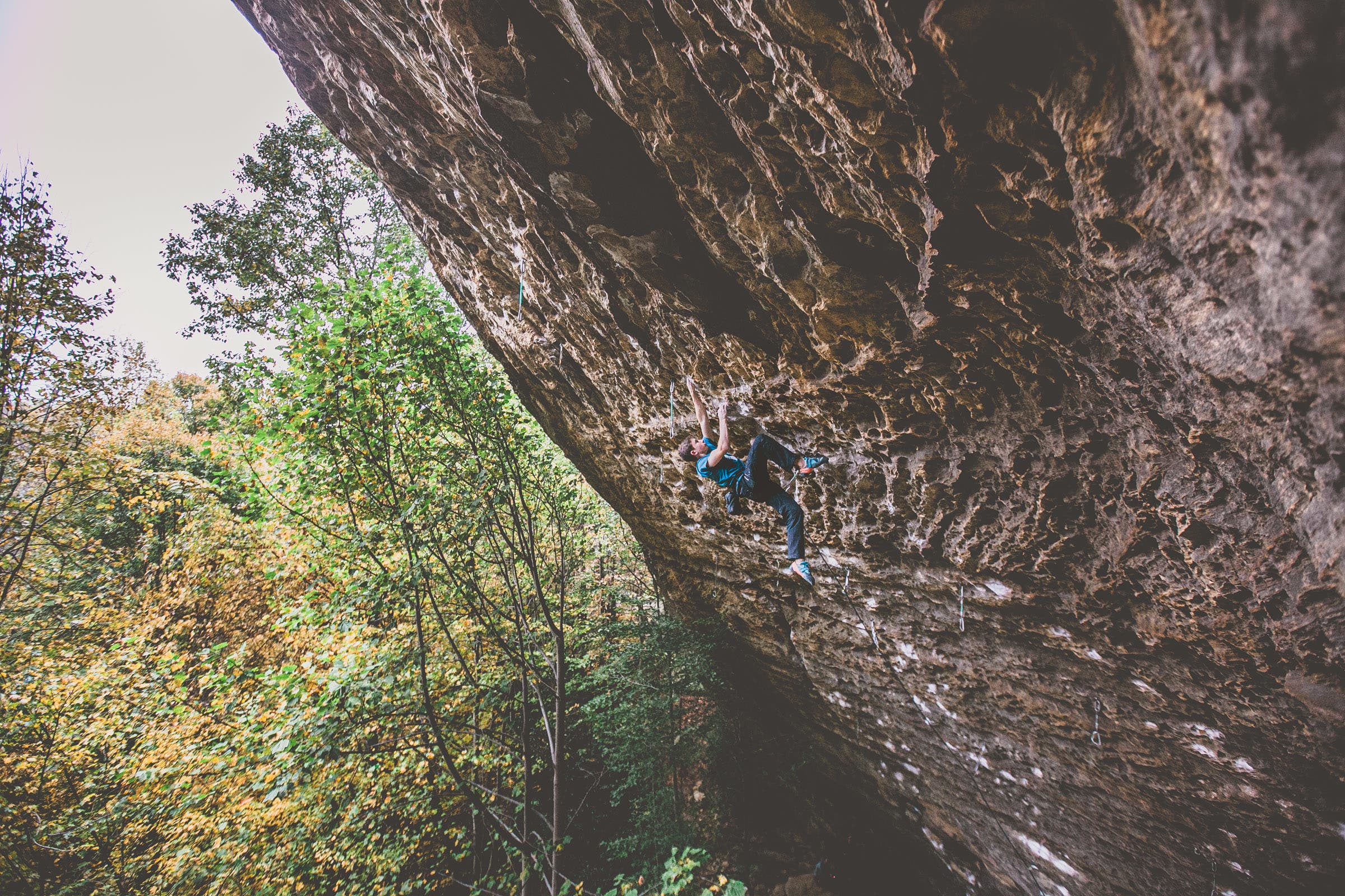 Colin Duffy picks-16 None