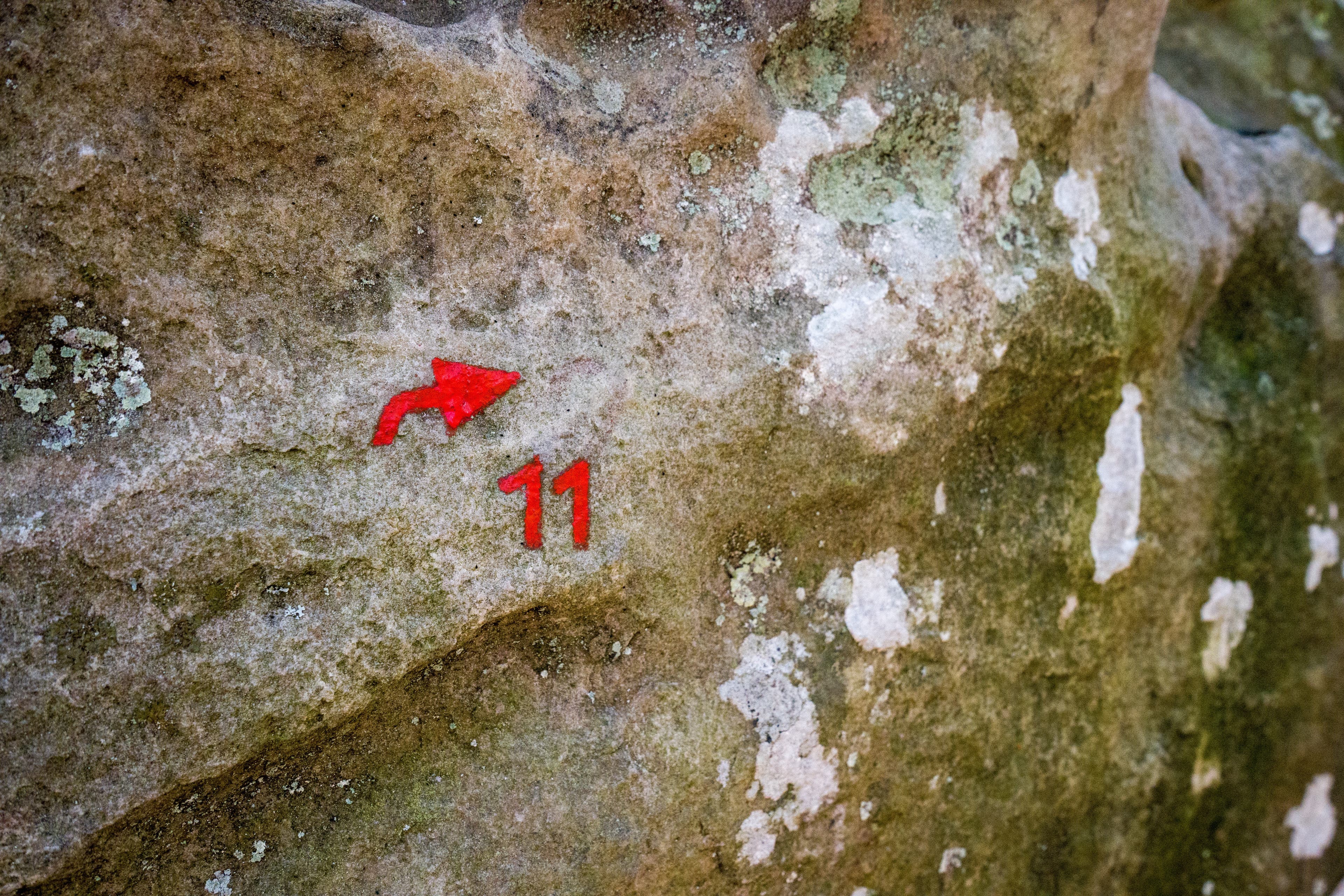 Photo Feb 13, 6 38 05 AM None