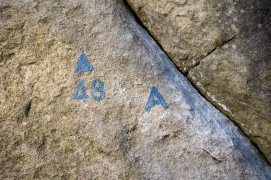 Fontainebleau for the First-Timer