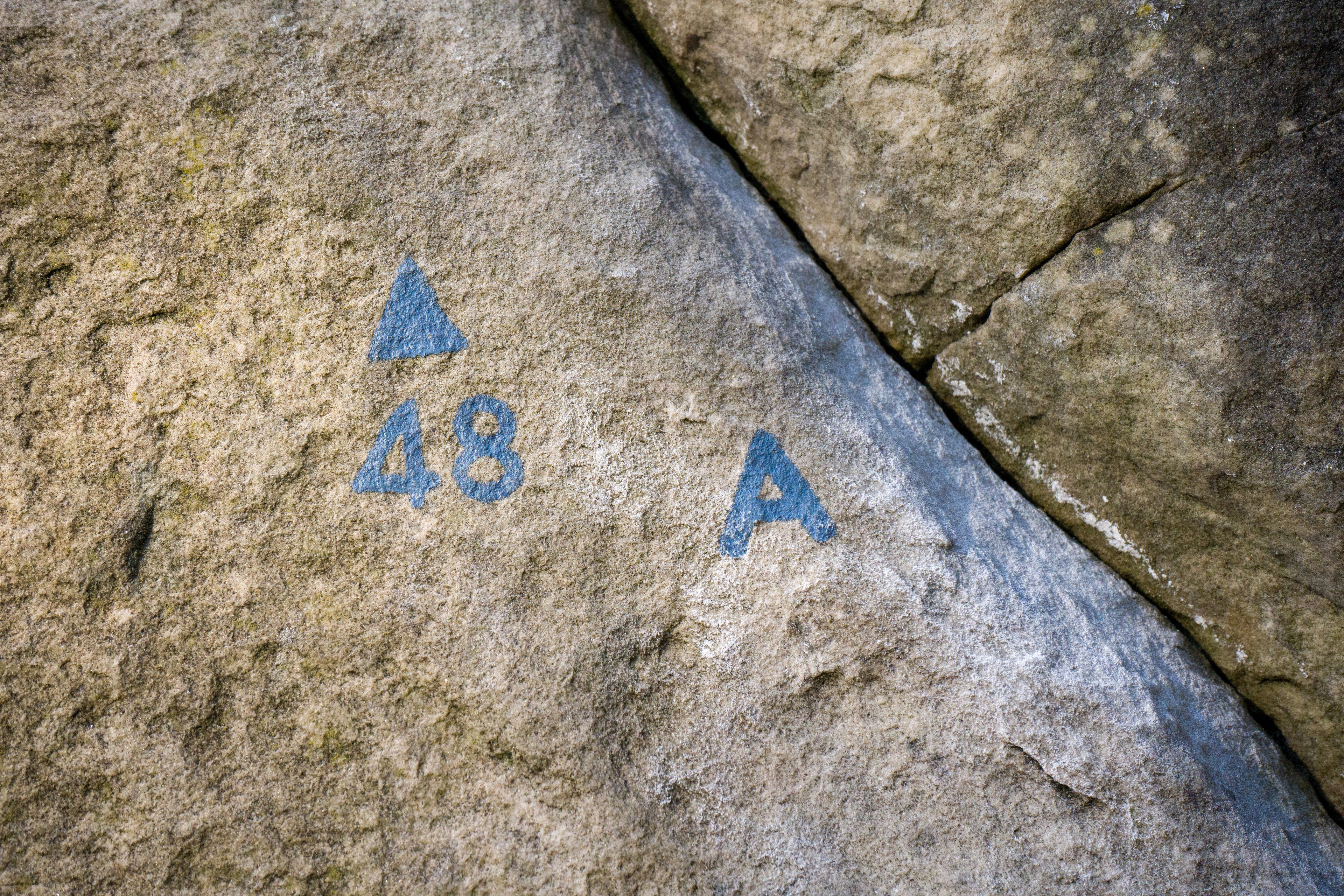 Photo Feb 17, 7 19 54 AM None