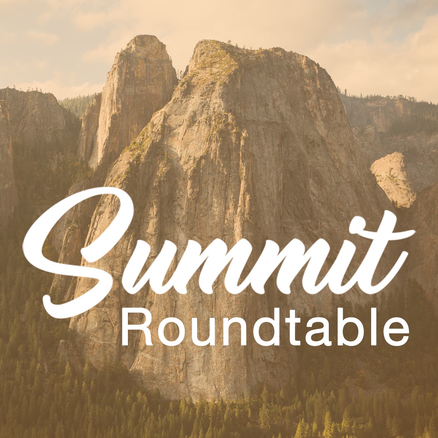 SummitRoundtableLogo None
