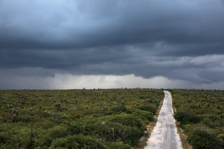 burr121118_033_bjk-web None