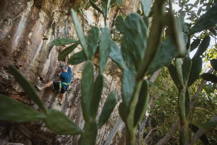 burr121418_0537_bjk-web None