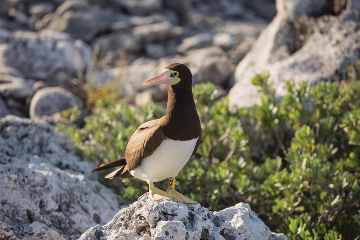 burr121518_0752_bjk-web None