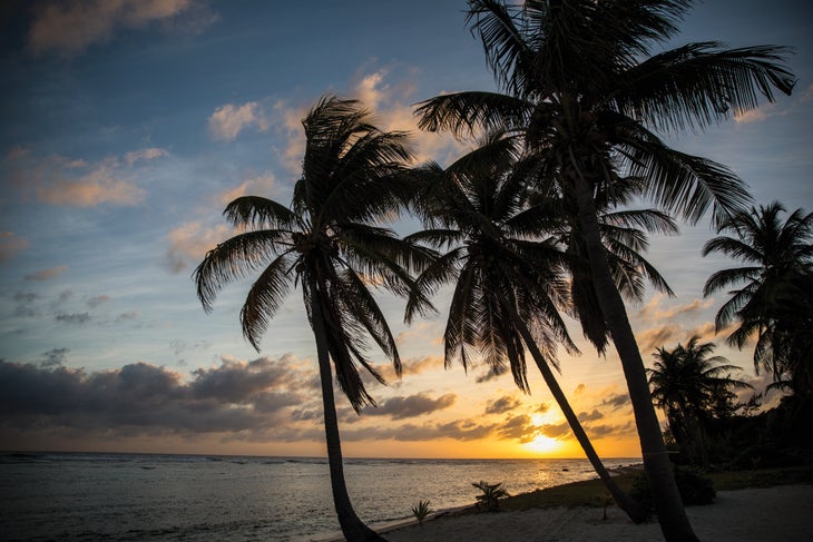 burr121518_0870_bjk-web None