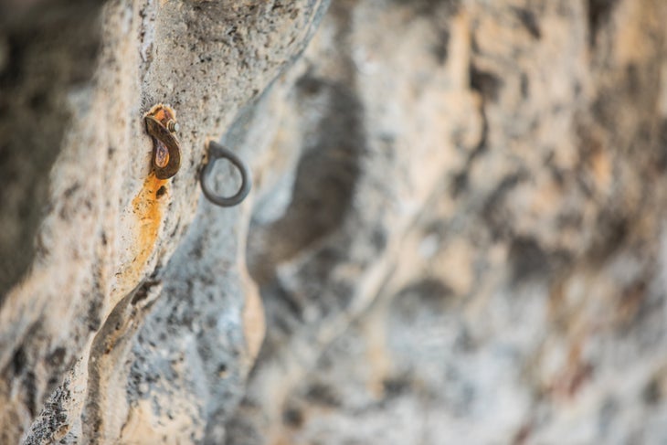 burr121718_0959_bjk-web None