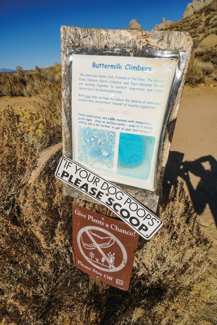 buttermilks signage_bjk-web None